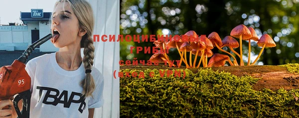 прущая мука Богородицк