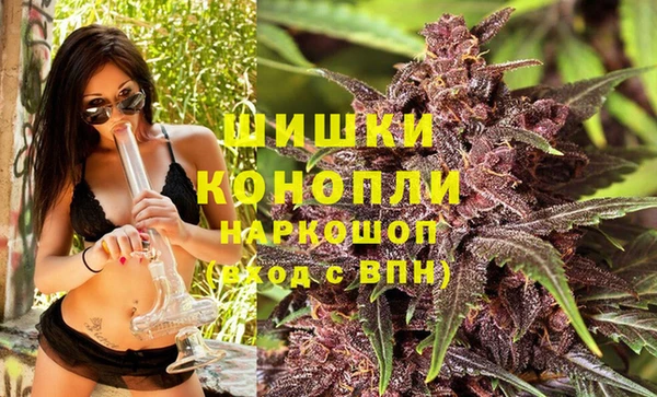 крисы Богородск