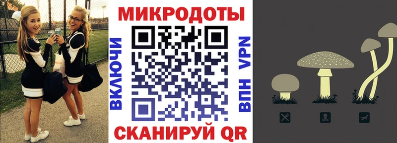 Псилоцибиновые грибы Psilocybe  Кореновск 
